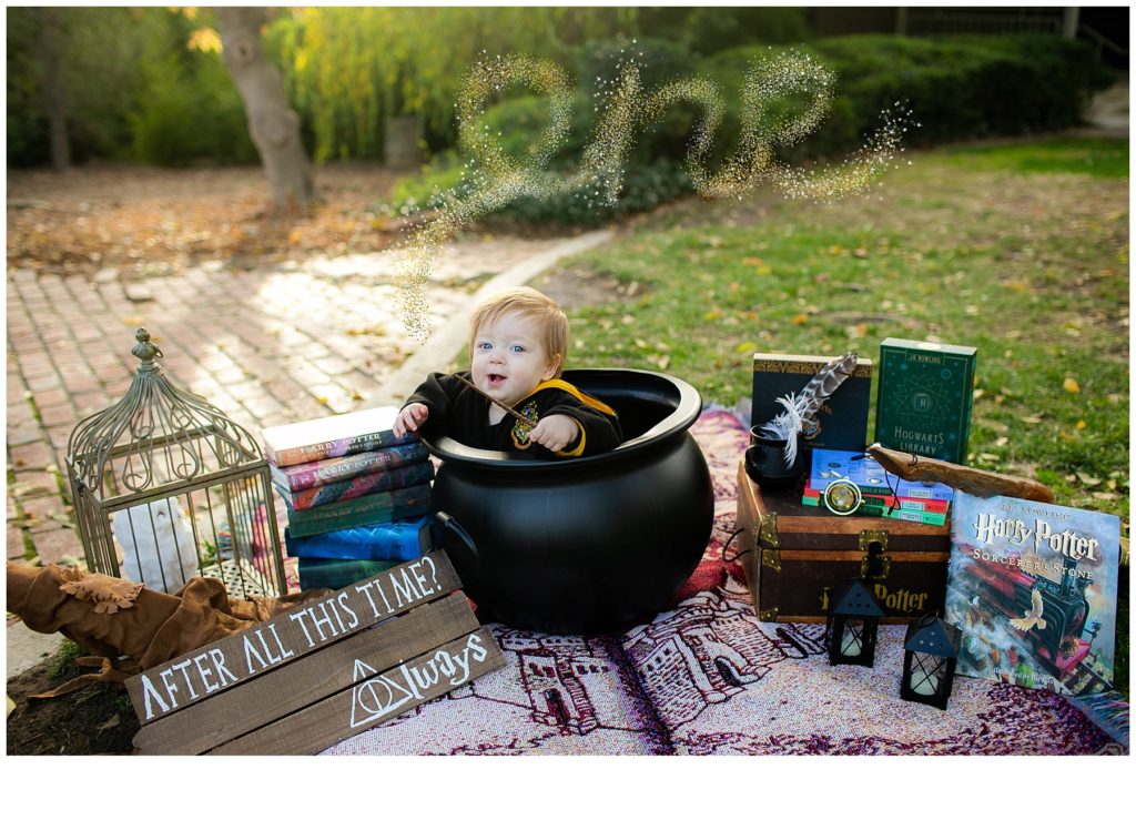Harry Potter Themed First Birthday Photos