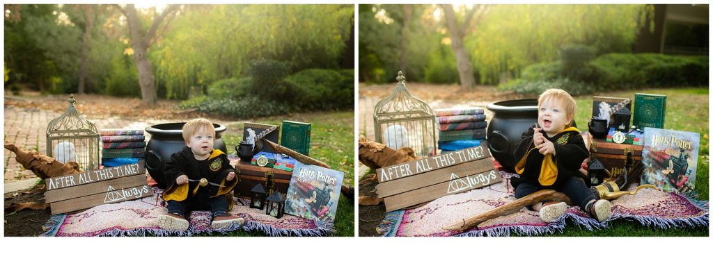 Harry Potter Themed First Birthday Photos